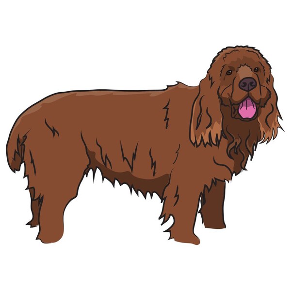 Signmission Sussex Spaniel Dog Decal, Dog Lover Decor Vinyl Sticker D-12-Sussex Spaniel - main